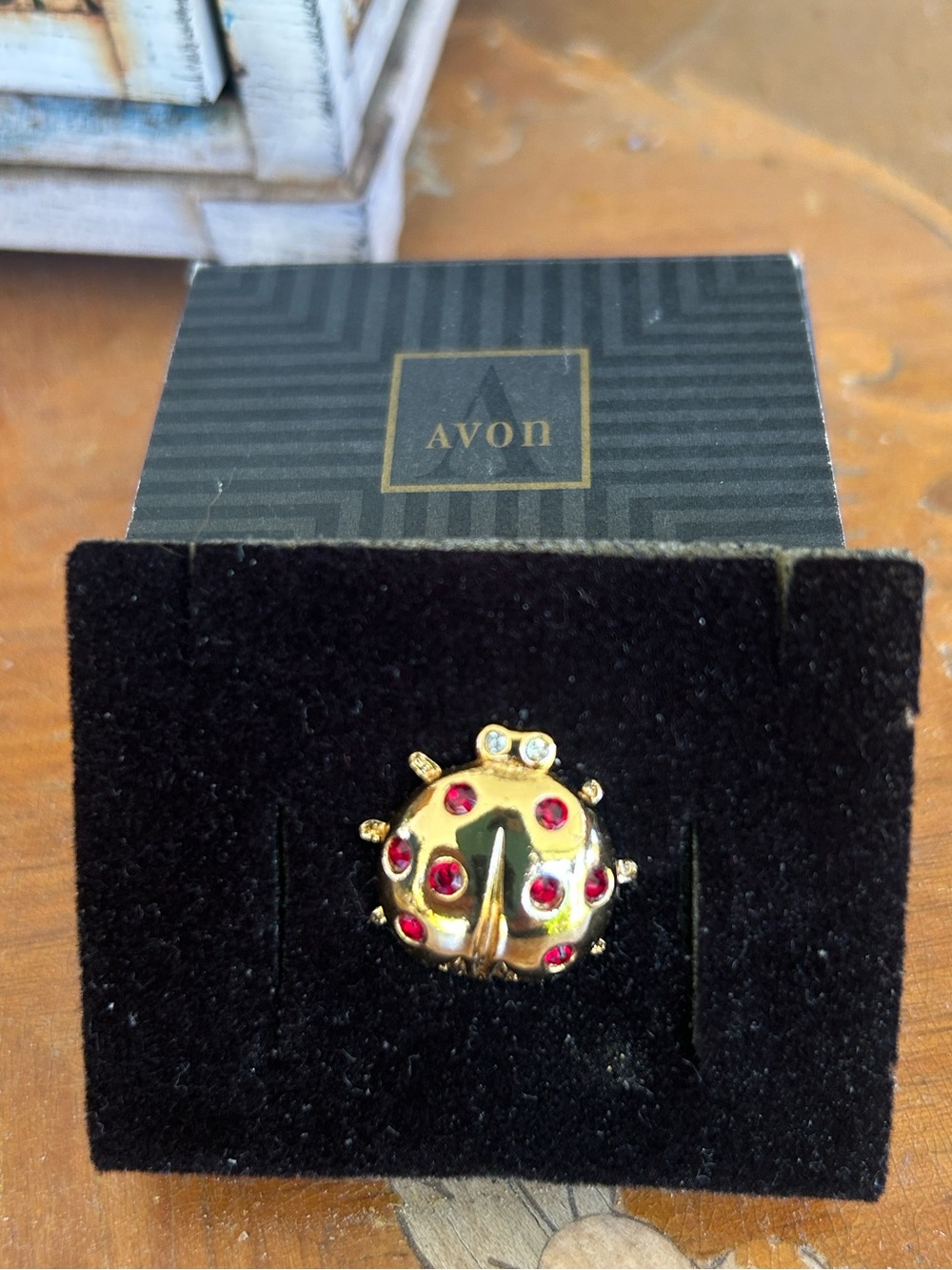 Vintage Ladybug Pin